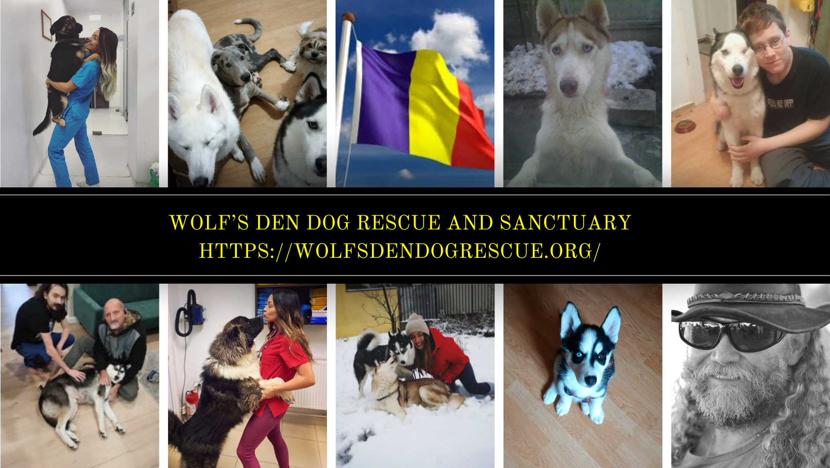 Wolf's Den Dog Rescue and Sanctuary